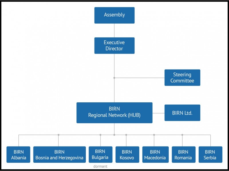 Shema regionalne mreže BIRN-ovih podružnica